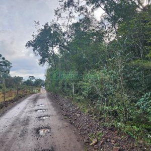 Terreno com 50544m², no bairro Salgado Filho em Caxias do Sul para Comprar