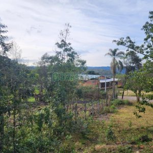Terreno com 50544m², no bairro Salgado Filho em Caxias do Sul para Comprar
