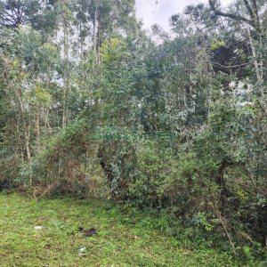 Terreno com 50544m², no bairro Salgado Filho em Caxias do Sul para Comprar