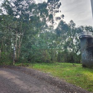 Terreno com 50544m², no bairro Salgado Filho em Caxias do Sul para Comprar
