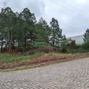 Terreno com 1575m², no bairro São Giácomo em Caxias do Sul para Comprar
