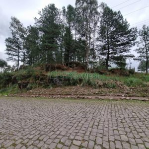 Terreno com 1575m², no bairro São Giácomo em Caxias do Sul para Comprar