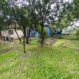 Casa com 45m², 2 dormitórios, no bairro Rio Branco em Caxias do Sul para Comprar