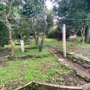 Casa com 45m², 2 dormitórios, no bairro Rio Branco em Caxias do Sul para Comprar