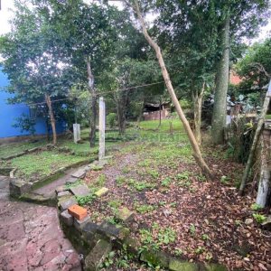 Casa com 45m², 2 dormitórios, no bairro Rio Branco em Caxias do Sul para Comprar