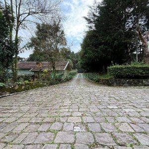 Pavilhão com 450m², no bairro Bela Vista em Caxias do Sul para Alugar