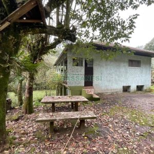 Chácara com 120m², 3 dormitórios, no bairro Parada Cristal em Caxias do Sul para Comprar