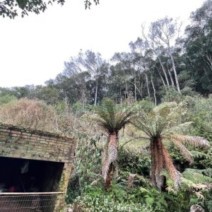 Chácara com 120m², 3 dormitórios, no bairro Parada Cristal em Caxias do Sul para Comprar