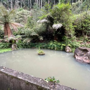 Chácara com 120m², 3 dormitórios, no bairro Parada Cristal em Caxias do Sul para Comprar