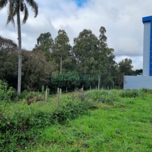 Terreno, no bairro Vila Verde em Caxias do Sul para Comprar