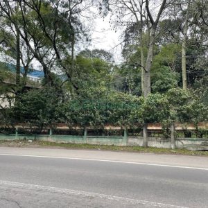 Casa Comercial com 400m², no bairro Bela Vista em Caxias do Sul para Comprar