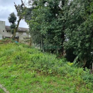 Terreno, no bairro Vila Verde em Caxias do Sul para Comprar