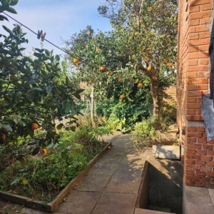 Casa com 200m², 3 dormitórios, 2 vagas, no bairro Sagrada Família em Caxias do Sul para Comprar