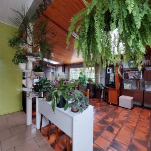 Casa com 127m², 2 dormitórios, 1 vaga, no bairro Diamantino em Caxias do Sul para Comprar