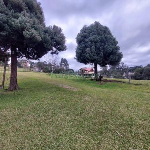 Casa com 127m², 2 dormitórios, 1 vaga, no bairro Diamantino em Caxias do Sul para Comprar