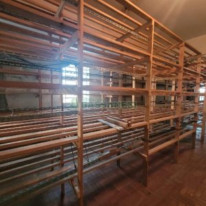 Loja com 290m², no bairro Centro em Caxias do Sul para Alugar