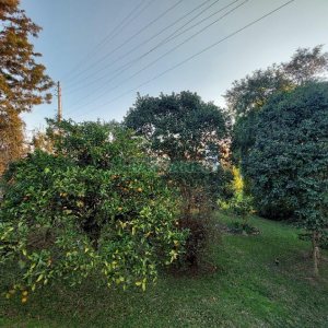 Casa com 500m², 4 dormitórios, 1 vaga, no bairro São Luiz em Caxias do Sul para Alugar