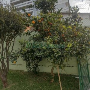 Casa com 136m², 2 dormitórios, 2 vagas, no bairro Salgado Filho em Caxias do Sul para Comprar