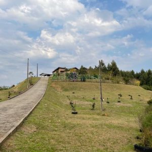 Chácara com 360m², 3 dormitórios, 1 vaga, no bairro Vila Cristina em Caxias do Sul para Comprar