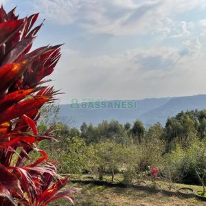 Chácara com 360m², 3 dormitórios, 1 vaga, no bairro Vila Cristina em Caxias do Sul para Comprar