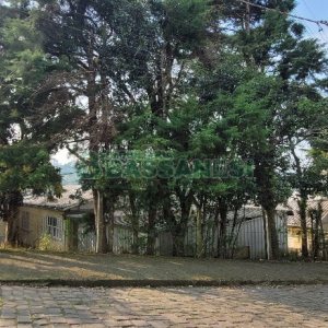 Predio com 669m², no bairro Salgado Filho em Caxias do Sul para Alugar