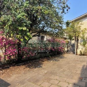Predio com 669m², no bairro Salgado Filho em Caxias do Sul para Alugar