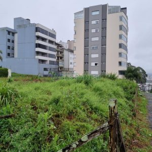 Terreno com 1260m², no bairro Sanvitto em Caxias do Sul para Comprar