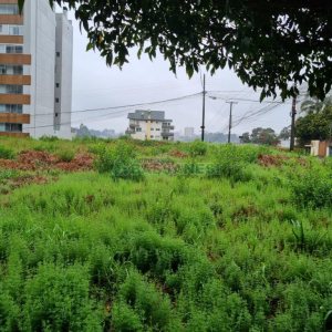 Terreno com 1260m², no bairro Sanvitto em Caxias do Sul para Comprar