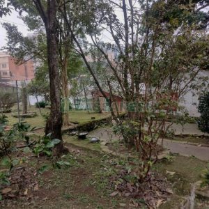 Casa, 8 dormitórios, no bairro São Pelegrino em Caxias do Sul para Comprar
