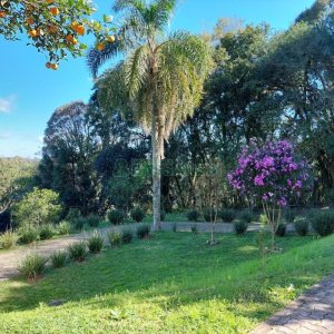 Chácara com 81307m², 4 dormitórios, 2 vagas, no bairro 3 Legua em Caxias do Sul para Comprar