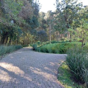 Chácara com 81307m², 4 dormitórios, 2 vagas, no bairro 3 Legua em Caxias do Sul para Comprar