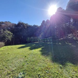 Chácara com 81307m², 4 dormitórios, 2 vagas, no bairro 3 Legua em Caxias do Sul para Comprar