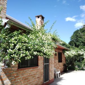 Chácara com 81307m², 4 dormitórios, 2 vagas, no bairro 3 Legua em Caxias do Sul para Comprar