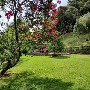 Chácara com 81307m², 4 dormitórios, 2 vagas, no bairro 3 Legua em Caxias do Sul para Comprar