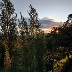 Chácara com 81307m², 4 dormitórios, 2 vagas, no bairro 3 Legua em Caxias do Sul para Comprar