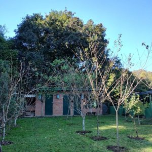 Chácara com 81307m², 4 dormitórios, 2 vagas, no bairro 3 Legua em Caxias do Sul para Comprar