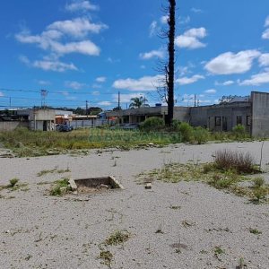 Terreno com 1985m², no bairro São Ciro em Caxias do Sul para Alugar
