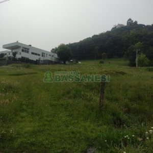 Terreno com 1818m², no bairro Linha 40 em Caxias do Sul para Comprar