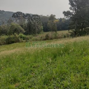 Terreno com 1939m², no bairro Linha 40 em Caxias do Sul para Comprar