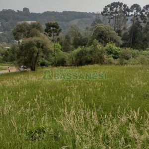 Terreno com 1939m², no bairro Linha 40 em Caxias do Sul para Comprar
