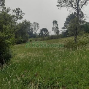 Terreno com 1939m², no bairro Linha 40 em Caxias do Sul para Comprar