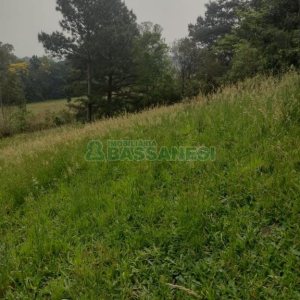 Terreno com 1939m², no bairro Linha 40 em Caxias do Sul para Comprar