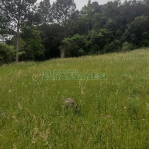 Terreno com 1939m², no bairro Linha 40 em Caxias do Sul para Comprar