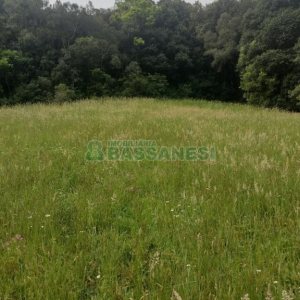 Terreno com 1939m², no bairro Linha 40 em Caxias do Sul para Comprar