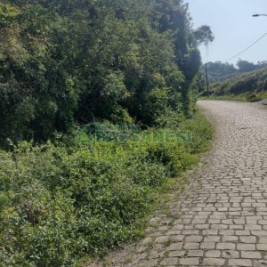 Terreno com 2989m², no bairro Nossa Senhora da Conceição em Caxias do Sul para Comprar