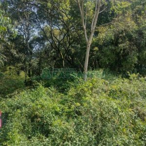 Terreno com 2989m², no bairro Nossa Senhora da Conceição em Caxias do Sul para Comprar