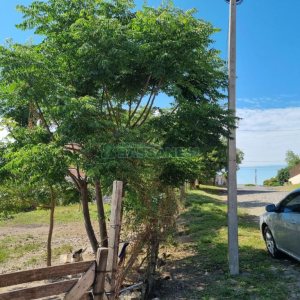 Terreno com 5940m², no bairro Salgado Filho em Caxias do Sul para Comprar
