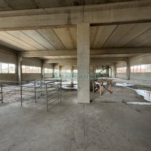 Loja com 850m², no bairro Sagrada Família em Caxias do Sul para Alugar