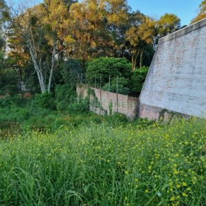 Terreno com 864m², no bairro Cinqüentenário em Caxias do Sul para Comprar