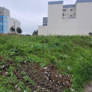 Terreno com 720m², no bairro Charqueadas em Caxias do Sul para Alugar